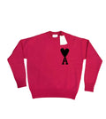 Pull Ami Paris